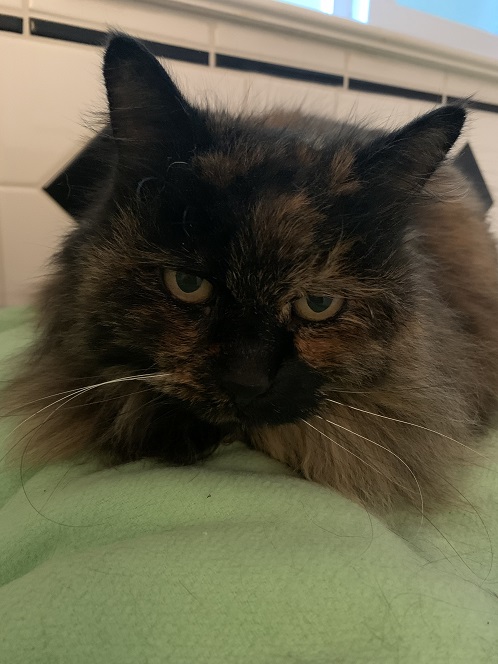 billi friend.jpeg